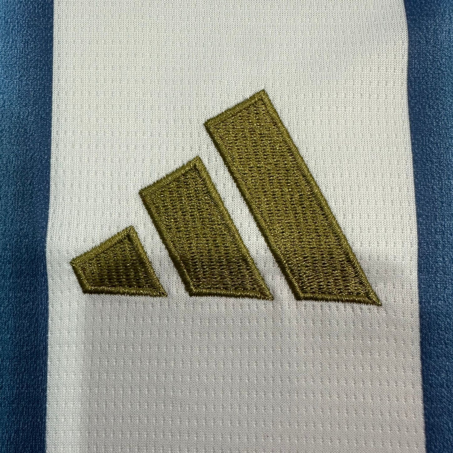 2026 Argentina Home Kit