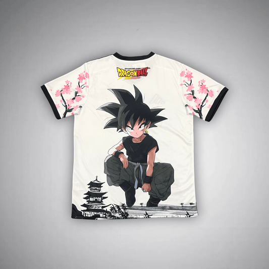 Japan "Dragon Ball" Premium Kit
