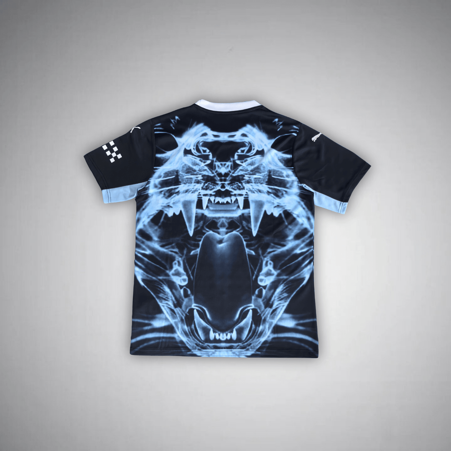 Manchester City "Predator X" Premium Kit